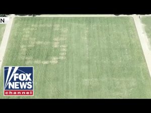 Read more about the article ’86 47′ VANDALIZED on grass at National Mall