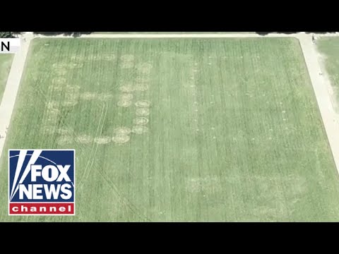 You are currently viewing ’86 47′ VANDALIZED on grass at National Mall