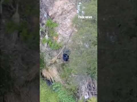 Read more about the article Drone shows arson suspect in California fire