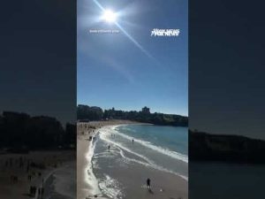 Read more about the article Shark alarm blares across Australia beach after woman is attacked #shorts #foxnews #news #fox