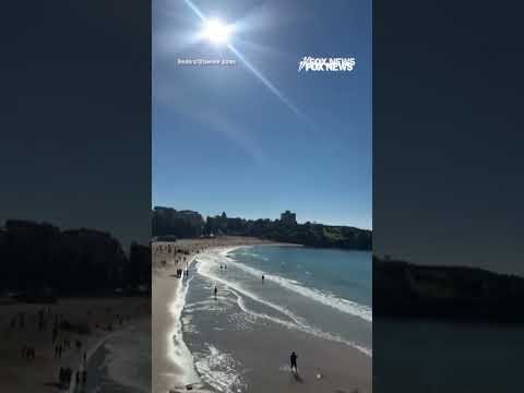 Read more about the article Shark alarm blares across Australia beach after woman is attacked #shorts #foxnews #news #fox