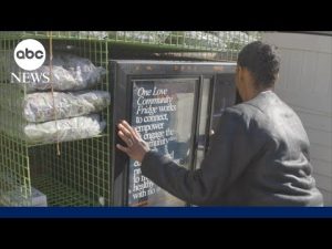 Read more about the article NYC nonprofit expands program to help end food insecurity