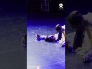 Read more about the article Cat steals the show during final scene of ‘Romeo and Juliet’