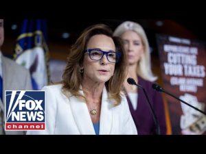 Read more about the article ‘PATHETIC!’: House hearing ERUPTS over ‘woke ideology’
