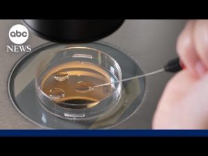 Read more about the article How custody agreement was reached in IVF mix-up