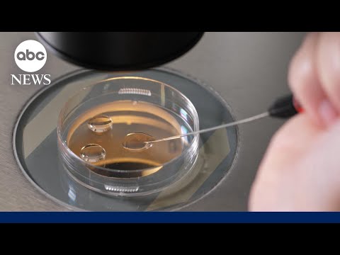 You are currently viewing How custody agreement was reached in IVF mix-up