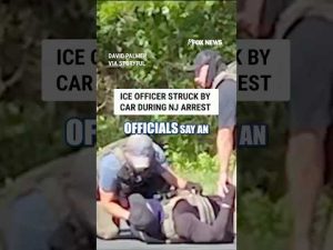 Read more about the article ICE officer struck by car during NJ arrest attempt #shorts #us #news