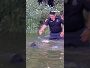 Read more about the article Fort Worth police RESCUE missing child from river #shorts #us #news #foxnews