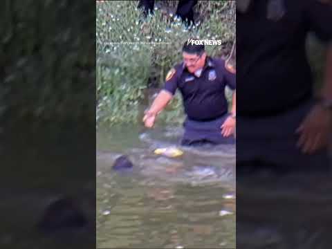 You are currently viewing Fort Worth police RESCUE missing child from river #shorts #us #news #foxnews