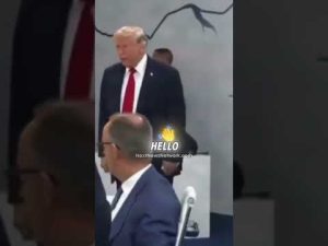 Read more about the article Trump Trolling World Leaders at G20