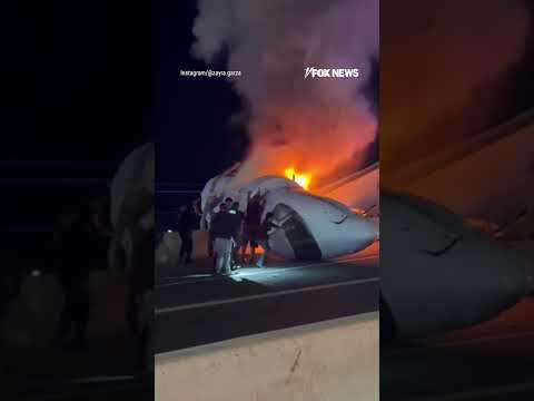 Read more about the article Desperate rescue efforts after business jet slams onto highway and catches fire #shorts #usa #us
