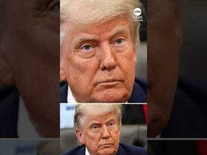 Read more about the article Trump cursed at Israeli PM Netanyahu in call over Lebanon escalation, sources say