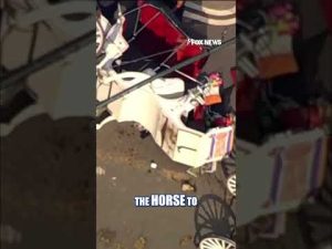 Read more about the article Teen KILLED after horse drawn carriages COLLIDE #foxnews #news #us #fox