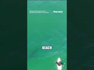 Read more about the article WATCH: CHILLING video shows SHARK circling California surfer #shorts #us #news #foxnews