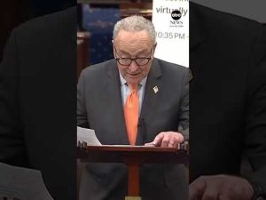 Read more about the article Sen. Chuck Schumer says Iran ‘took Trump to the cleaners’