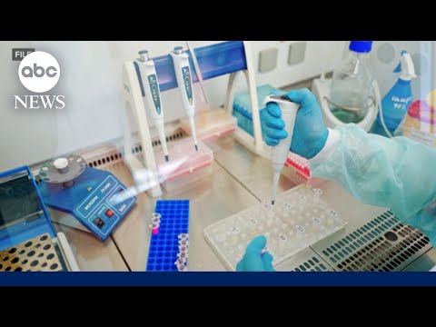 Read more about the article Using AI to help diagnose rare genetic diseases