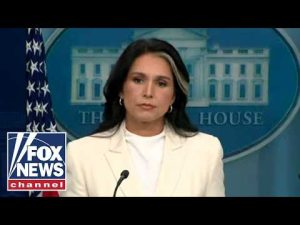 Read more about the article JUST IN: Tulsi Gabbard drops BOMBSHELL allegation against Fauci