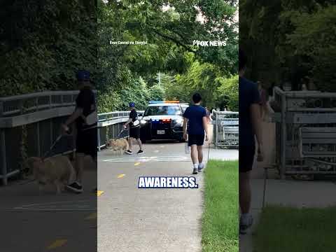Read more about the article WATCH: Police officer couldn’t resist poking fun at an oblivious dog walker