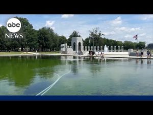 Read more about the article Algae problem plagues Reflecting Pool in D.C.