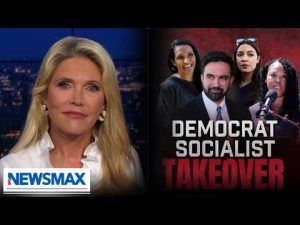 Read more about the article E.D. Hill exposes the ‘masterclass in political hedging’ by Democrats