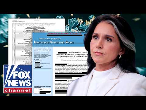You are currently viewing DETAILS: Gabbard releases HUNDREDS of COVID lab leak documents