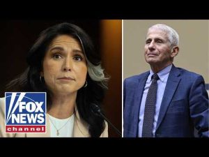Read more about the article COVER UP?: Dr Fauci ‘abused power to the HIGHEST LEVEL,’ Gabbard alleges