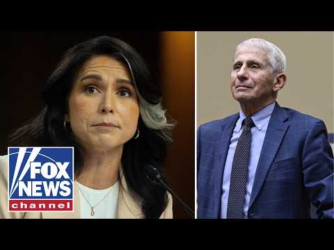 Read more about the article COVER UP?: Dr Fauci ‘abused power to the HIGHEST LEVEL,’ Gabbard alleges