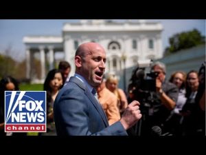 Read more about the article ‘KILLED IN MASS’: Miller BLAMES Democratic radicalization for casualties