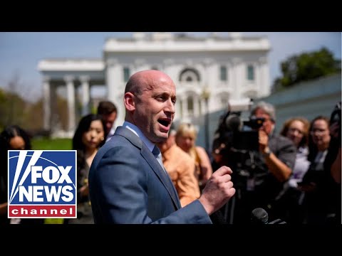 Read more about the article ‘KILLED IN MASS’: Miller BLAMES Democratic radicalization for casualties