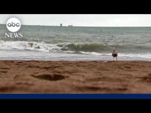Read more about the article Mom, daughter critically injured by sneaker wave