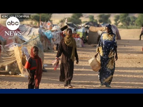 Read more about the article Spotlight on World Refugee Day