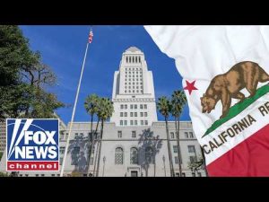 Read more about the article Los Angeles takes BIG STEP toward noncitizen voting
