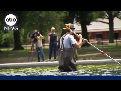 Read more about the article Reflecting Pool troubles