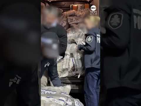 Read more about the article Australian police seize more than $500 million worth of cocaine