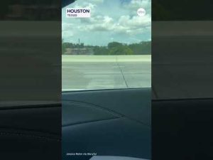 Read more about the article Ronald McDonald-themed vehicle spotted cruising down Texas highway