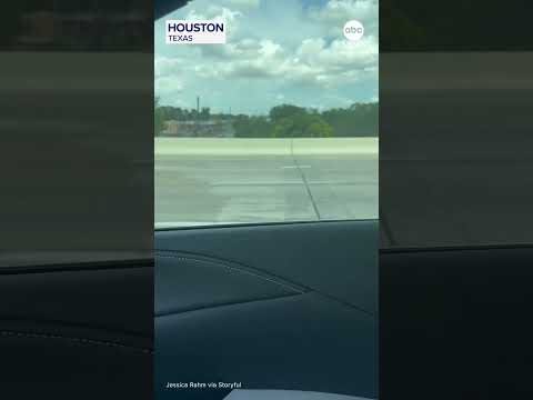 Read more about the article Ronald McDonald-themed vehicle spotted cruising down Texas highway