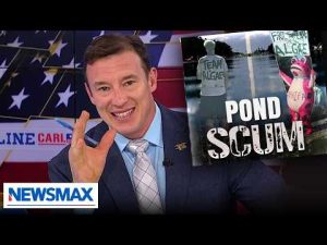 Read more about the article Liberals, as usual, whine and ignore facts on Reflecting Pool story: Carl Higbie