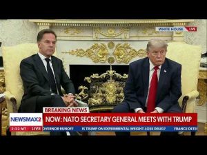Read more about the article TRUMP: It would have been nice if NATO helped us with Iran