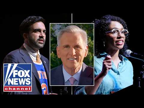 Read more about the article Mamdani, socialists now ‘CONTROL’ the Democratic Party: Ex-House speaker