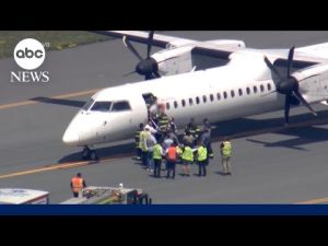 Read more about the article Passengers who helped restrain pilot during mid-air emergency speak out