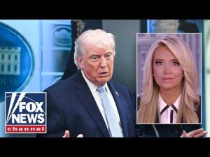 Read more about the article McEnany: This is one of the single BEST things Trump has done for America
