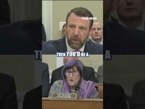 Read more about the article DHS congressional hearing ERUPTS in fiery clash #shorts #us #news #foxnews #politics