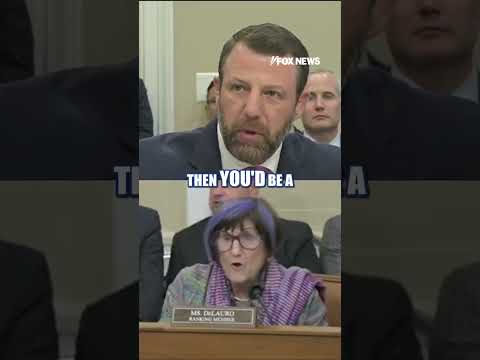 Read more about the article DHS congressional hearing ERUPTS in fiery clash #shorts #us #news #foxnews #politics