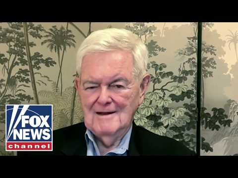 Read more about the article Gingrich: The Constitution still works