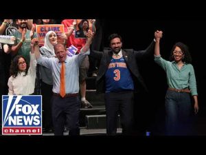 Read more about the article ‘EMBOLDENED’: Democratic Party establishment on endangered species list after socialist victories