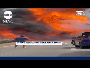 Read more about the article Car explosion sparks wildfire in Arizona