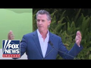 Read more about the article The Democratic Party is getting HIJACKED: Expert
