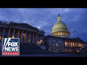 Read more about the article Democrats appear fractured amid growing influence of Democratic socialists