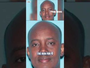 Read more about the article Minnesota fraudster ARRESTED in Somalia #foxnews #news #us #fox