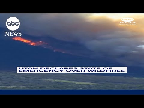 Read more about the article Utah declares state of emergency over wildfires